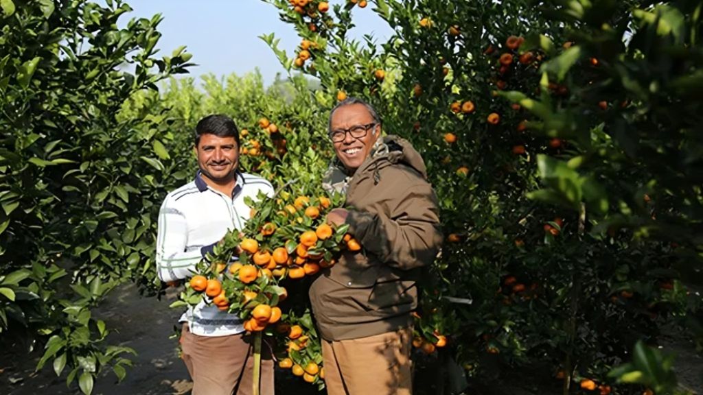 Shaikh Siraj is standing in an orange orchard holding fruit, depicting a scene from Shaikh Siraj and the 'Hridoye Mati O Manush' program.