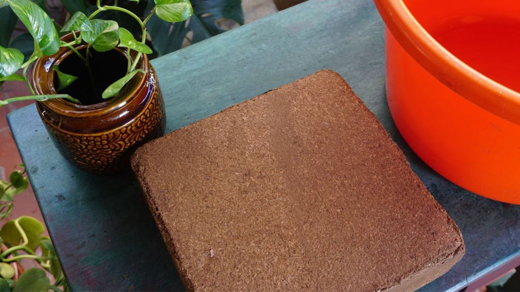 Coco peat, a natural material made from coconut husk and an essential component of the coco peat business.