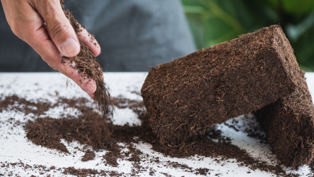 The marketing and sales process of the coco peat business, which plays a crucial role in business expansion.