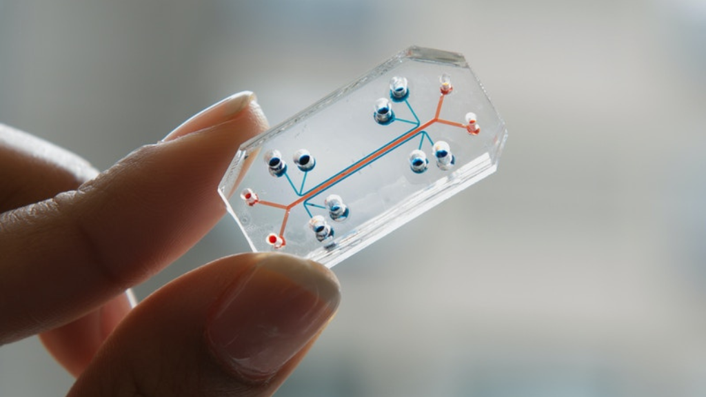 ল্যাব-অন-এ-চিপ প্রযুক্তির বিভিন্ন সুবিধা তুলে ধরা একটি চিত্র।